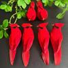 2/4/6Pcs Simulation Feather Birds With Clips For Garden Lawn Tree Decor Handicraft Red Birds Figurines Home Garden Decoration