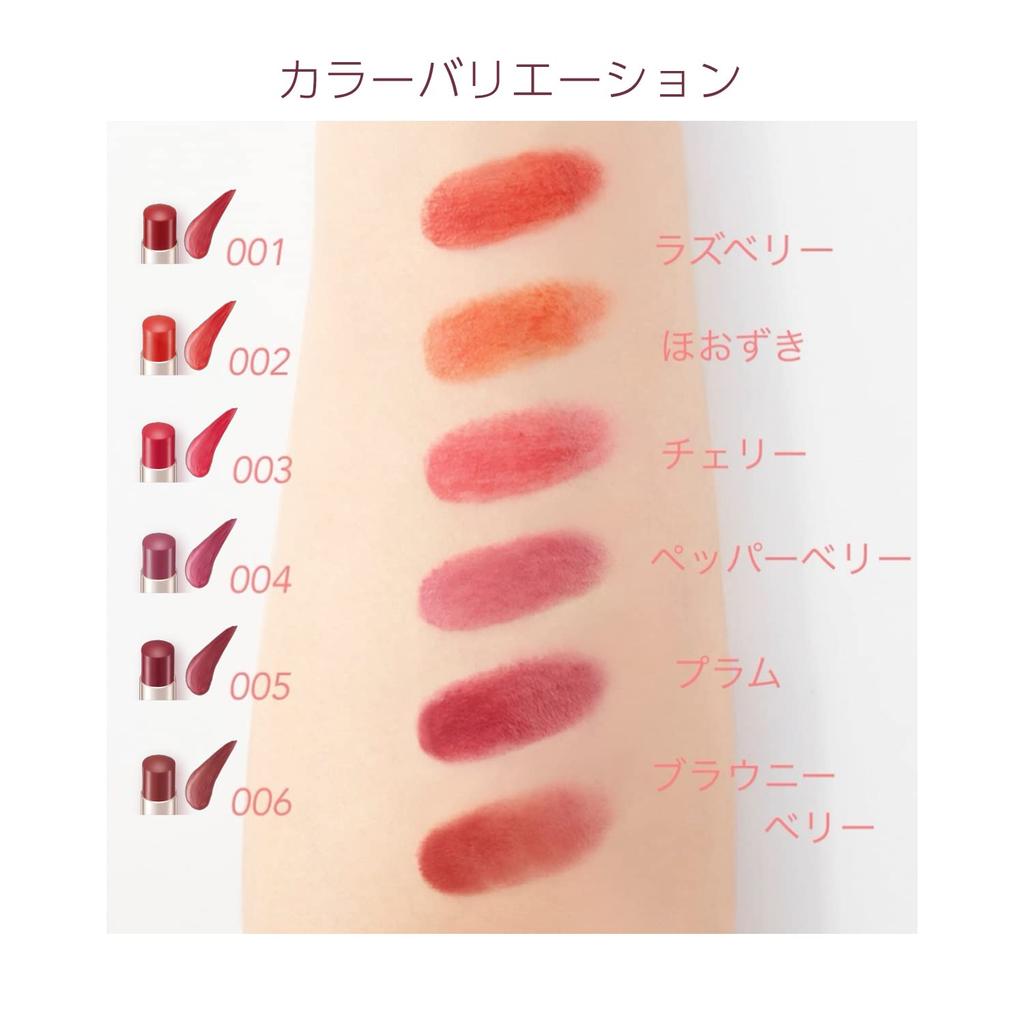 Blend Berry Rich Glow Lip Lipstick 005 by KOSE (Plum)