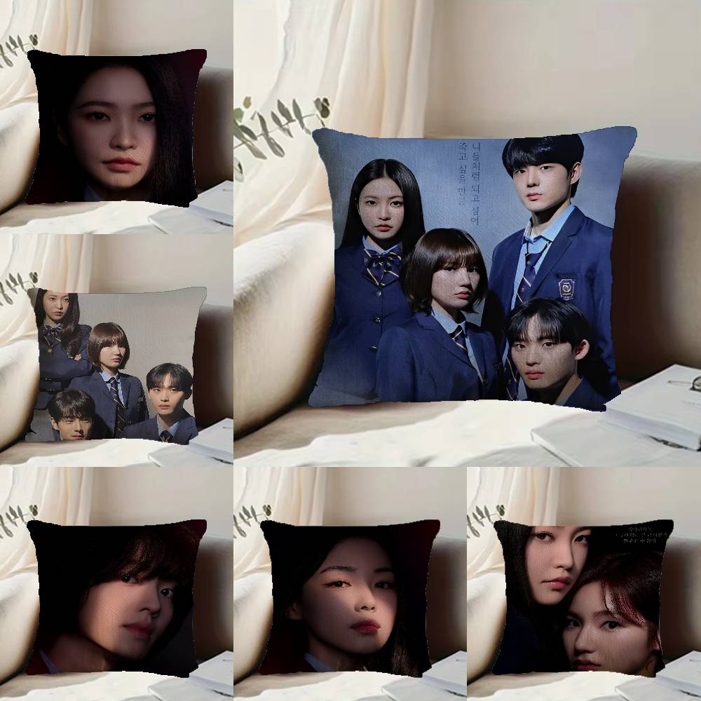 Hot Korea TV B-Bitch X R-Rich Pillow Case Anti-dustmite Pillowcase Invisible zipper silky short plush Sofa cushion cover