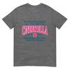 Funny Pickleball Cinderella Unisex Gift Player Joke Tshirt