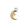 CARLIDANA Delicate Unisex Waterproof Stainless Steel Sun Pendant Moon Charms 18k Gold Color for DIY Jewelry Necklace Jewelry