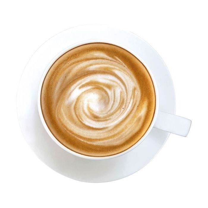 IBILI - Fouet - Mousseur À Lait En Acier Inoxydable - 20,5 Cm