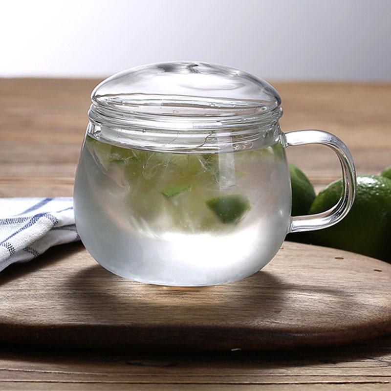 Glass Tea Cup with Infuser and Lid 350ml Large Borosilicate Teacup,Tea Glass Clear Mug for Loose Leaf Tea Gift for Birthday
