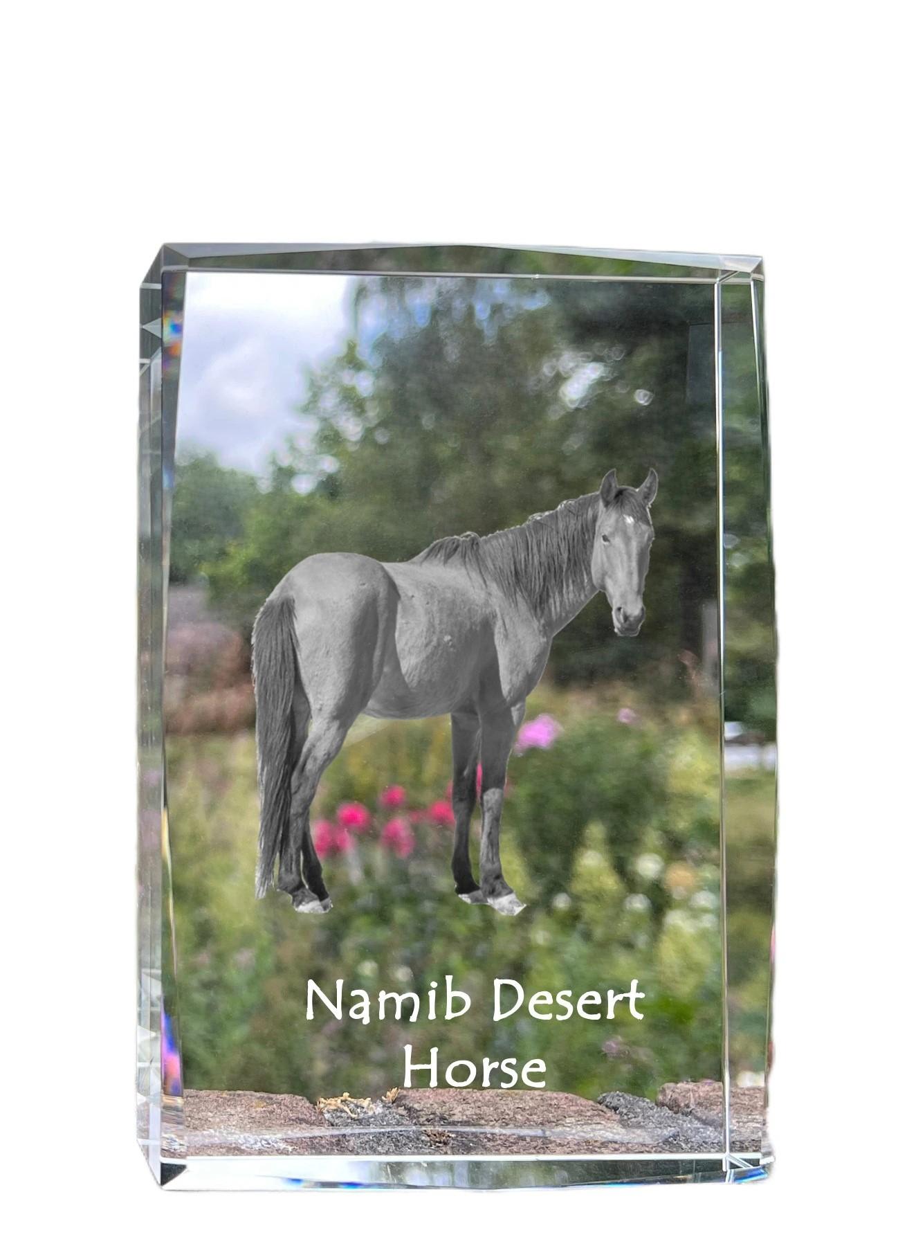 

Namib Desert Horse - crystal with a picture of a horse, photo in glass, modern exhibition of Art-Dog brand photo прозорий
