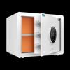 TIGER 30cm Smart Biometric Safe