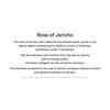 Abib - Collagen Eye Patch Jericho Rose Jelly