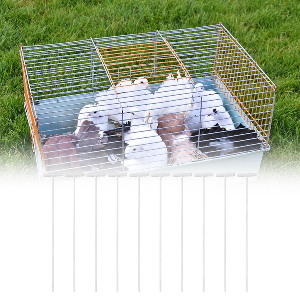 10pcs/pcs Dove Birds Holder T Pigeon Door Wire Bar for Bird Cage