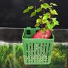 Hook Design Aquarium Basket Hydroponic Basket for Fish Tank Aquarium Plant Holder Heat-resistant Hydroponic Basket Hanging Fish Tank Planter Cups