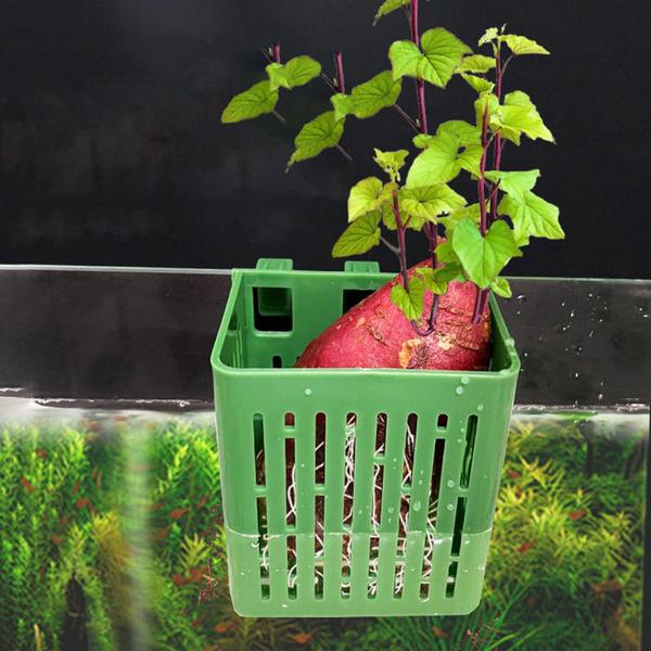 Hook Design Aquarium Basket Hydroponic Basket for Fish Tank Aquarium Plant Holder Heat-resistant Hydroponic Basket Hanging Fish Tank Planter Cups