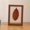 Transparent Double-Sided Glass Photo Frame for Dried Flowers and Leaves