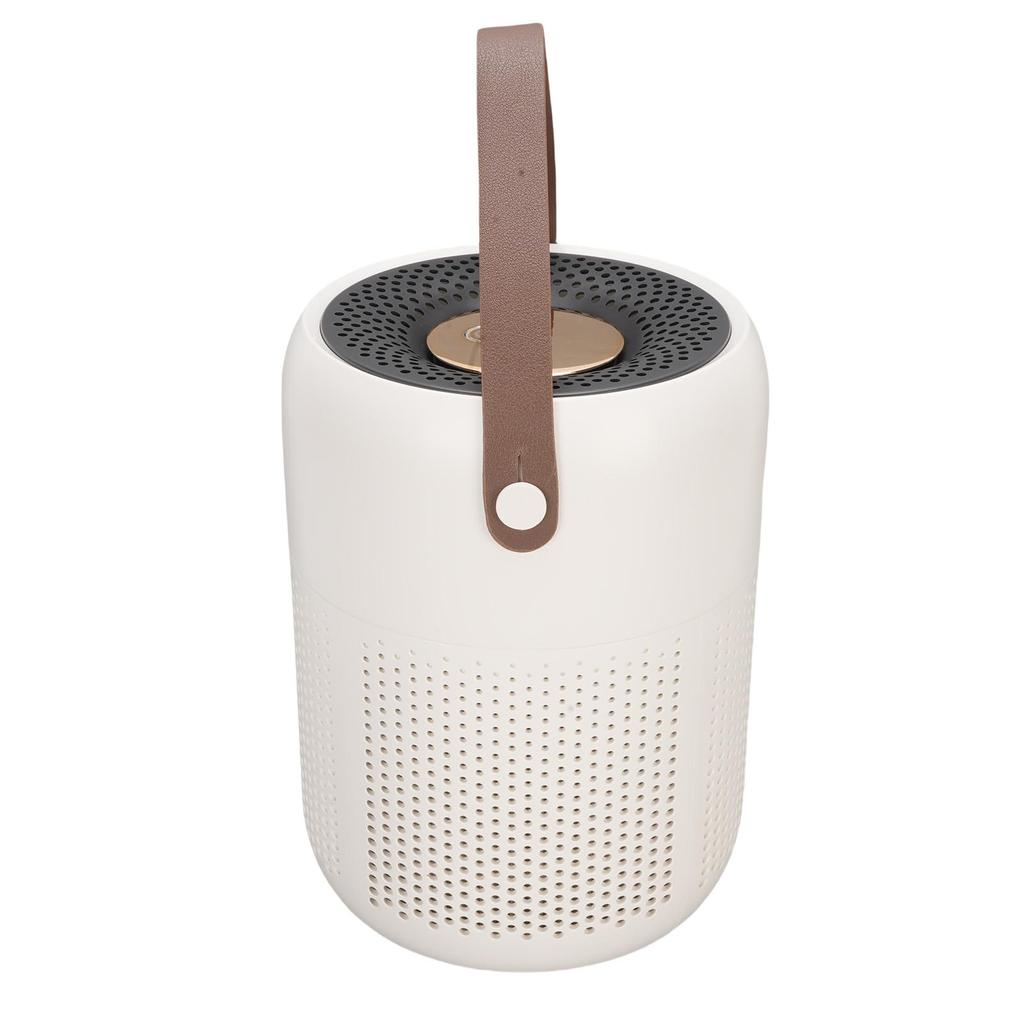 Desktop Air Purifier Ion Release Quiet Portable Odor Removal Indoor Air Purifier for Home Bedroom
