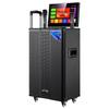 SAST SW-50 Portable Karaoke Speaker (CN version)