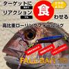 Daiwa Tungsten Jig Fall Bait TG 80g PH Silver Glow Head Fishing Tackle