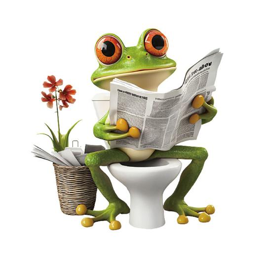 

Frog Toilet Sticker Waterproof Funny Frog Reading Toilet Lid Decals Peel And Stick Removable Animal Sticker for Bathroom WC Wall Door Decor Frog
