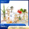 DIY Silicone Mold for Creative Hydroponic Plant Vase and Desktop Stand