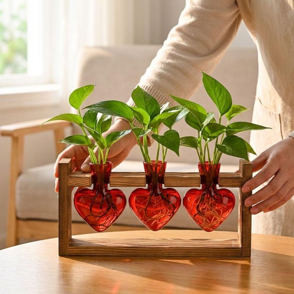 Transparente Hydroponik-Pflanzenvase Holzständer Holzrahmen Vase Pflanzenliebhaber Geschenk