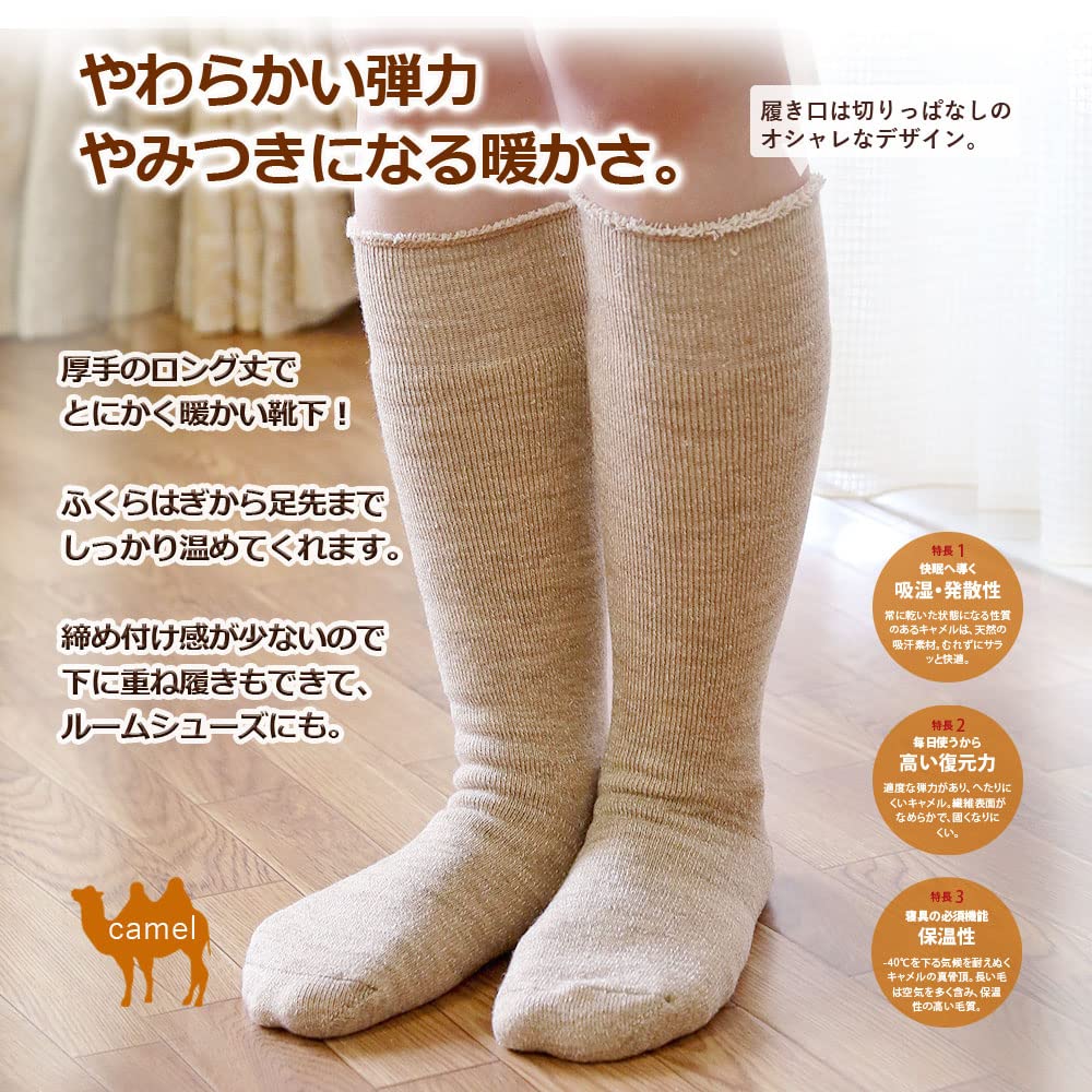 Camel Organic Cotton Long Made in Authentic Camelya Bonus Suitable for Sensitive Cold Insulation [Tennen-ya] & Knee-High Socks, Unisex, 2-Pair Set,