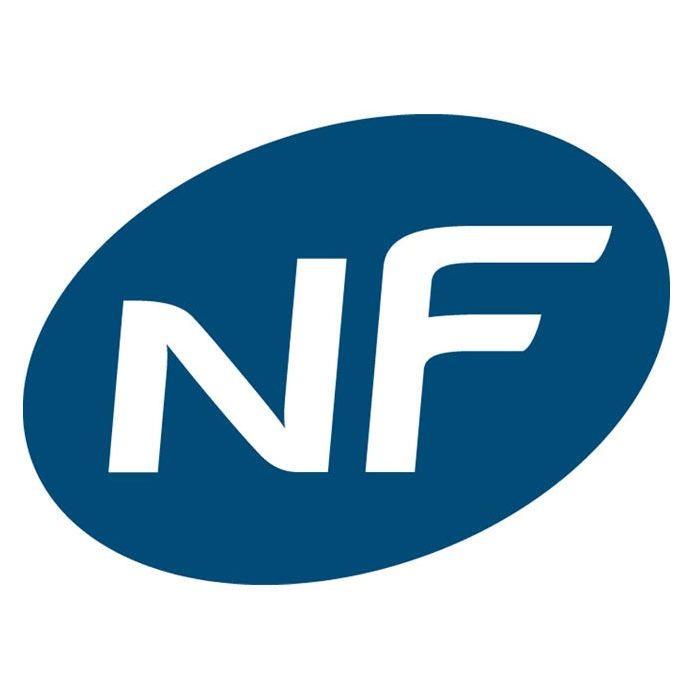 Radiateur électrique à inertie fonte TANA Blanc Fonte 1000W