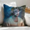 NNiall HHoran Pop Singer Cushion Cover Soft Plush Fabric DoubleSided Printed Sofa Cushion Cover for All Seasons Home Decor