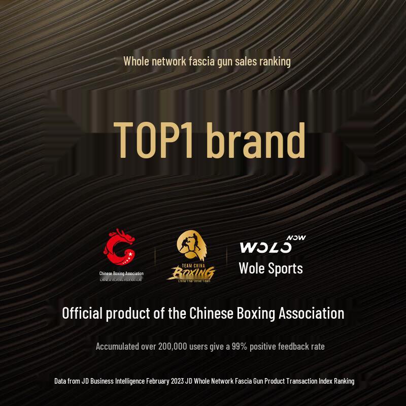 Walrus Mini Portable Deep Tissue Massage Gun