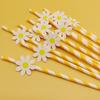 20pcs Eco Friendly Disposable Straws Paper Drinking Straw Party Supplies Daisy Straws  Wedding