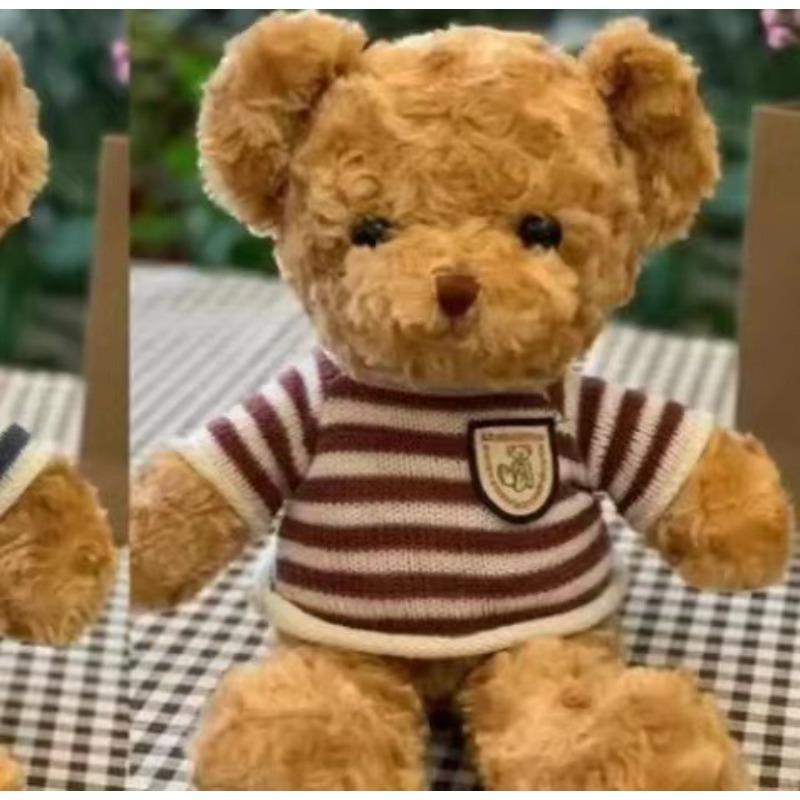 Sweater Bear Doll Birthday Gift Teddy Bear Plush Toy Doll