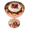Shatterproof Martini Glass Plated Copper Wine Goblet Stainless Steel Cocktail Glass  Parties