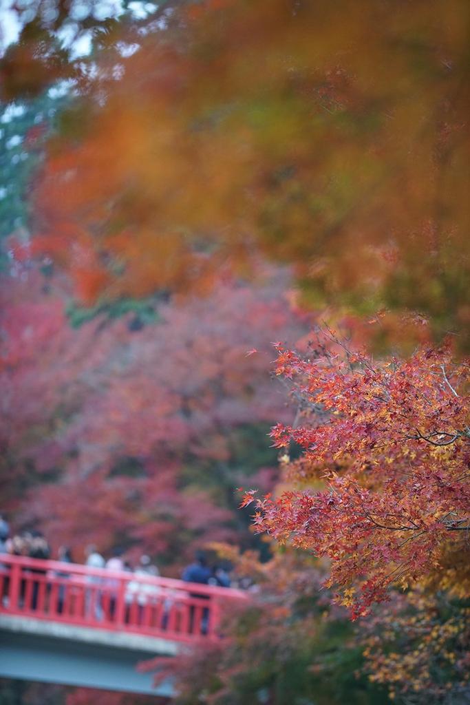 Zhong Yi Optics Creator 135mm II Prime Lens K F2.8 (Pentax Mount)