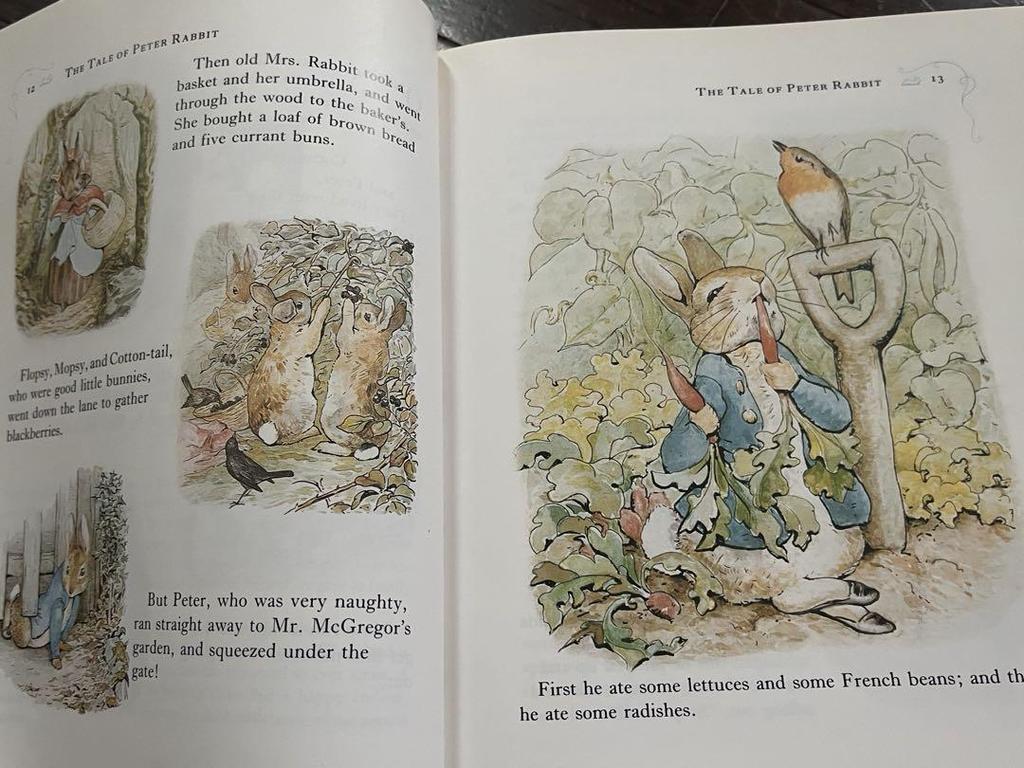 [USED] English Books Beatrix Potter Complete Works English Picture Book Peter Rabbit