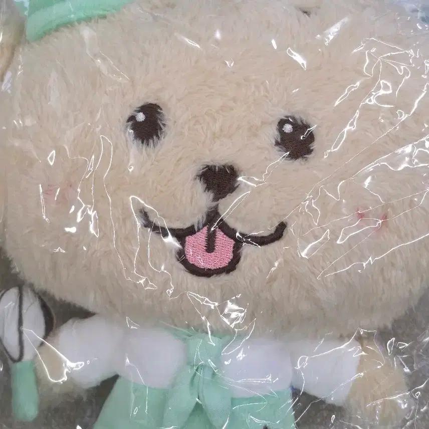 NCT Wish Daengtriver Patty Jaehee Doll In the Poem