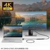 Sanwa Supply HDMI to DisplayPort Adapter (4K/60Hz) AD-HD31DP