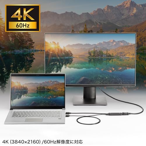Sanwa Supply HDMI to DisplayPort Adapter (4K/60Hz) AD-HD31DP