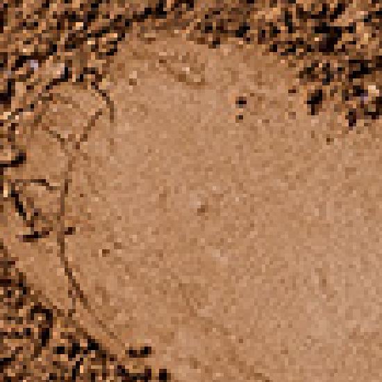 rom&nd slide in single