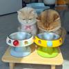 Stainless Steel Cat & Dog Food and Water Bowl - Easy To Use Pet Feeder