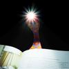 Flexilight Bookmark  - Vysyvanka