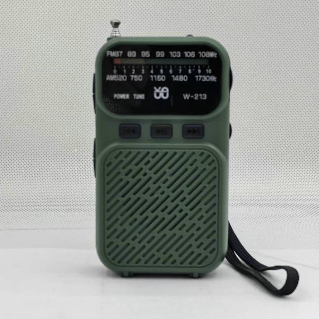 Mini Portable Pointer FM AM Radio LED Flashlight Stable Signal DSP Radios Rechargeable Bluetooth Speaker Earphones Listening Ra
