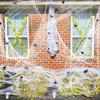 Halloween Giant Inflatable Black Spider with LED Eyes and Web Decoration for Outdoor Haunted House Party Scene Props 5ft