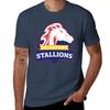 Salvatore Stallions Legacies Tvd The Originals Tshirt Casual Loose Short Sleeve Tee For Unisex