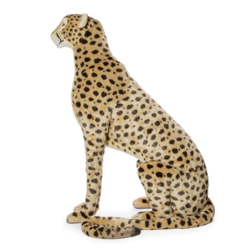 BH6543 HANSA Cheetah 110