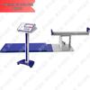 Seated Forward Bend Tester