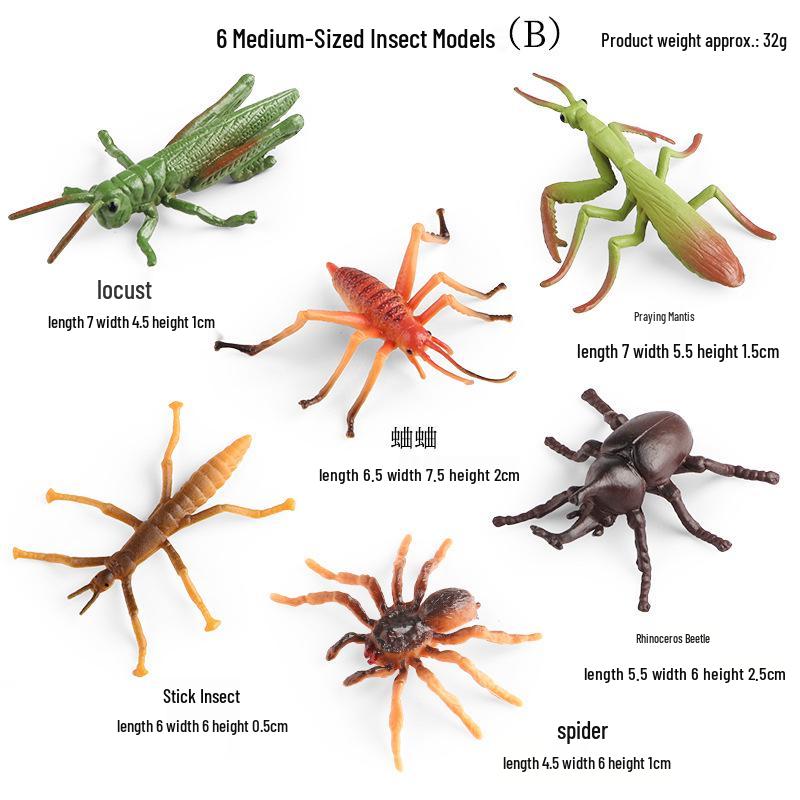 Medium-Sized Insect Model Set: Grasshopper, Mantis, Spider, Rhino Beetle, Stick Insect, Cricket