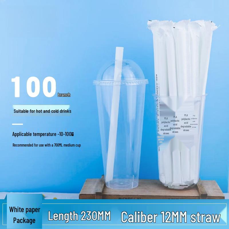 

Hanyou Individually Wrapped Eco-Friendly Disposable Straws