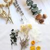 Gemischte Trockenblumen für Scrapbooking Seifen- und Kerzenherstellung Dekoration DIY Bastelbedarf