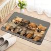 Lovely Pomeranian Dog Welcome Doormat Four Cute Puppies Pattern Floor Mat Animal Lover Entryway Rug Front Door Carpet