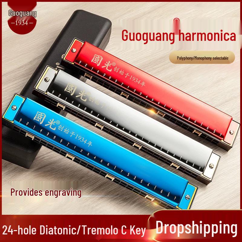 Beginner 24-Hole Double Reed C Key Harmonica for Adults and Children - Ideal Self-Study Gift