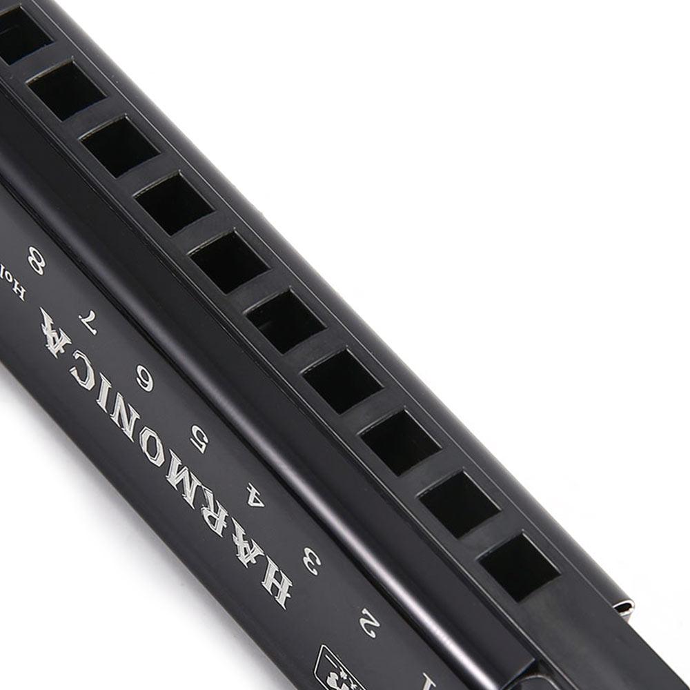 Portable Key of C 10 Hole Harmonica with Box Metal Diatonic Harmonica Beginner Teaching Rectangle Musical Instrument Students