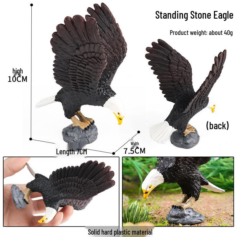 Children s Animal Model Toy Set - Eagle, Parrot, Owl, Sea Eagle, Ostrich & Emu