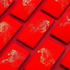 10Pcs Wedding Red Envelopes Marriage Gift Bag Double Happiness Lucky Pocket Chinese Traditional Hongbao Wedding Decoration