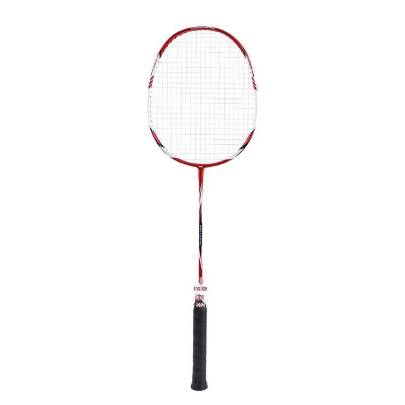 Hodtown Carbon Badminton Racket
