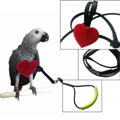 parrot harness and leash